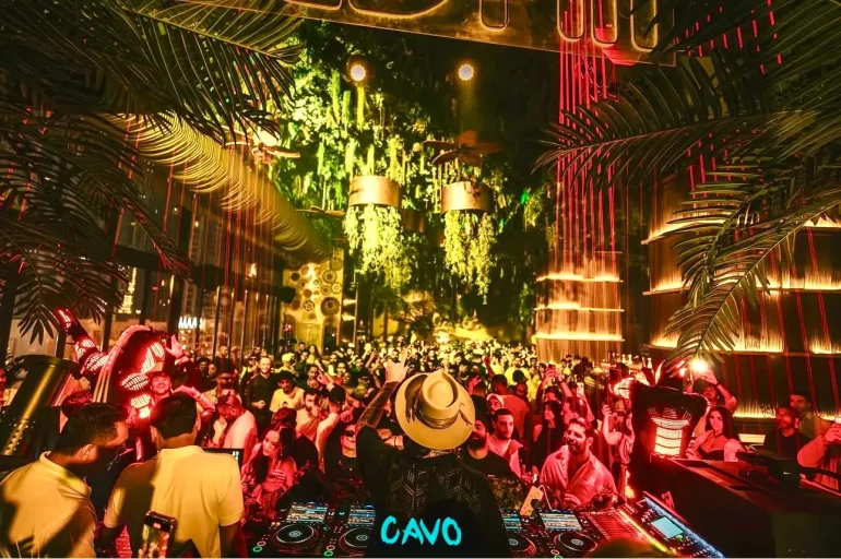 A DJ viewed from behind in a CAVO-branded shirt facing the crowd during an earlier night